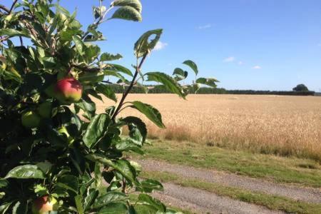 Church Farm B&B Suffolk Great Whelnetham Bagian luar foto